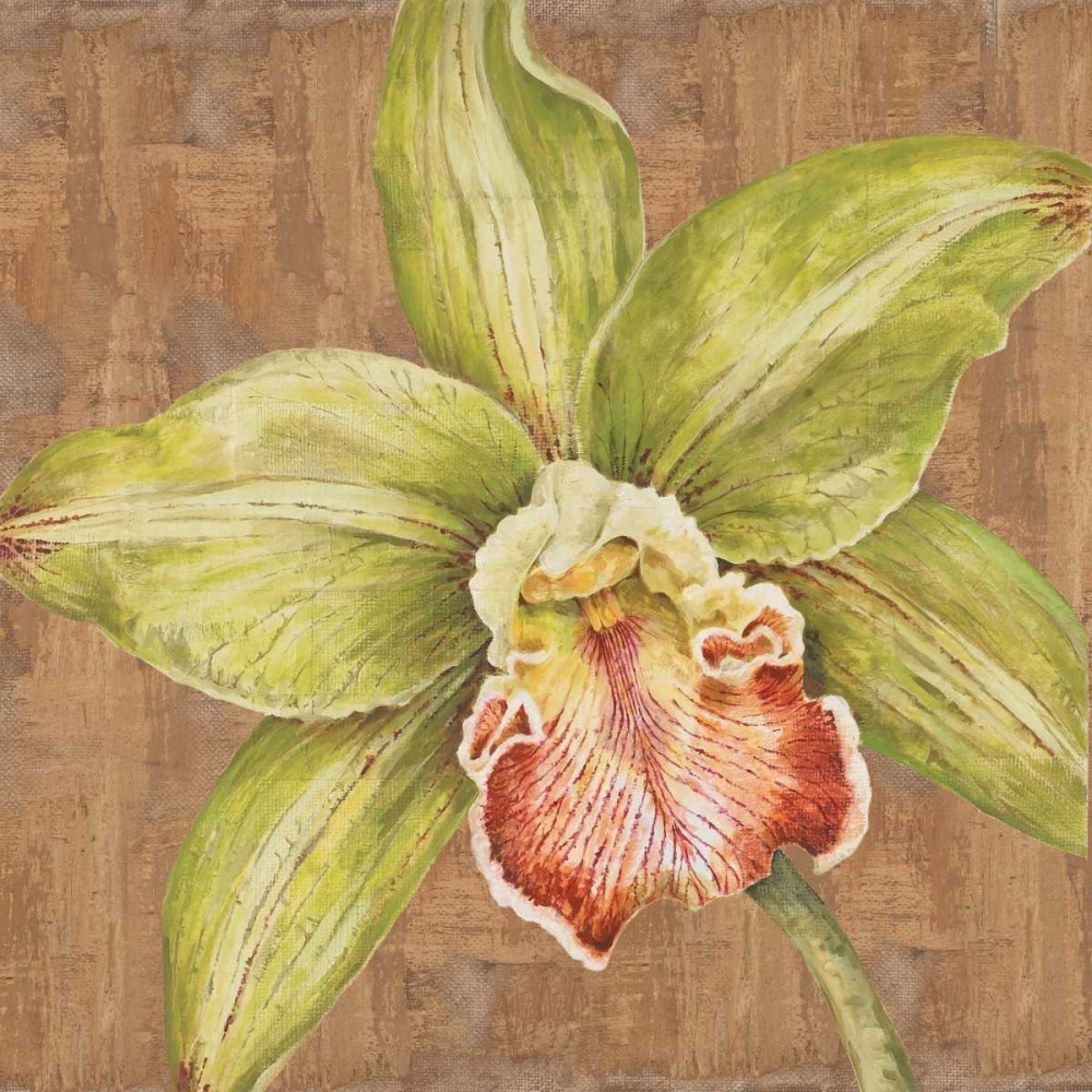 Wall Art Painting id:20553, Name: Aloha Beauty Petites B, Artist: Shelby, Judy