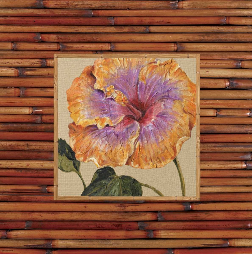 Wall Art Painting id:20635, Name: Pacific Paradise B, Artist: Shelby, Judy