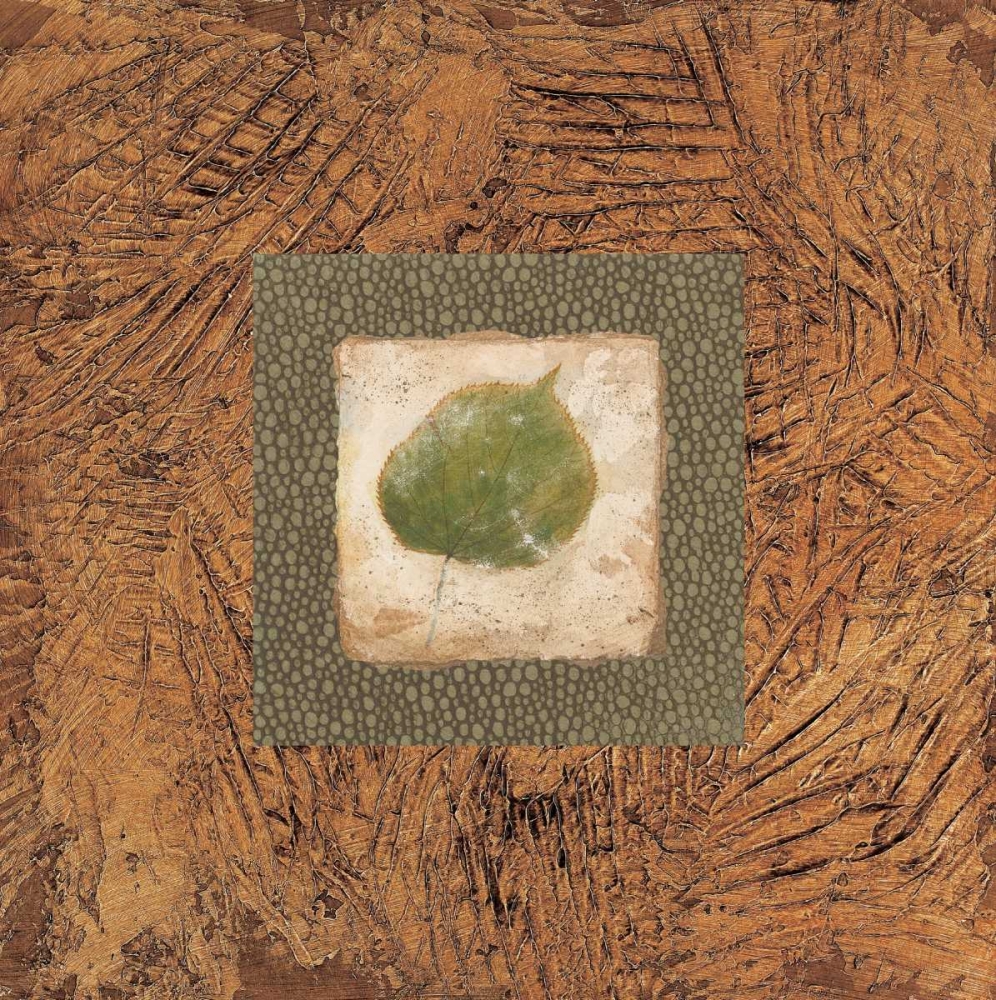 Wall Art Painting id:20639, Name: Sedona Naturals A, Artist: Alexander, Zachary