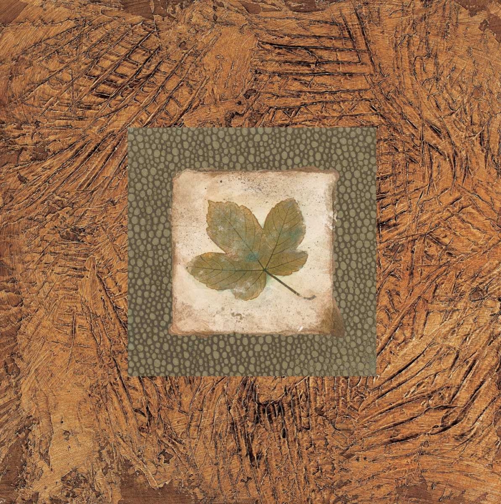 Wall Art Painting id:20640, Name: Sedona Naturals B, Artist: Alexander, Zachary