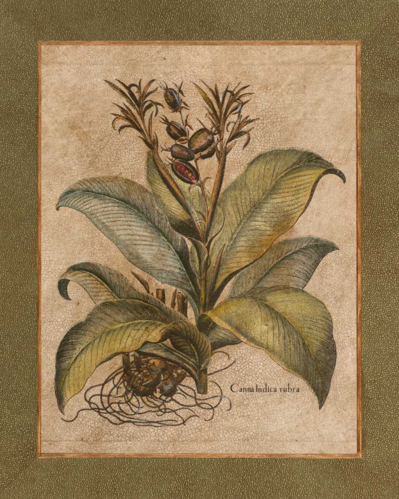 Wall Art Painting id:20678, Name: Valencia I, Artist: Alexander, Zachary