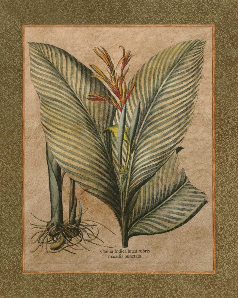 Wall Art Painting id:20679, Name: Valencia II, Artist: Alexander, Zachary