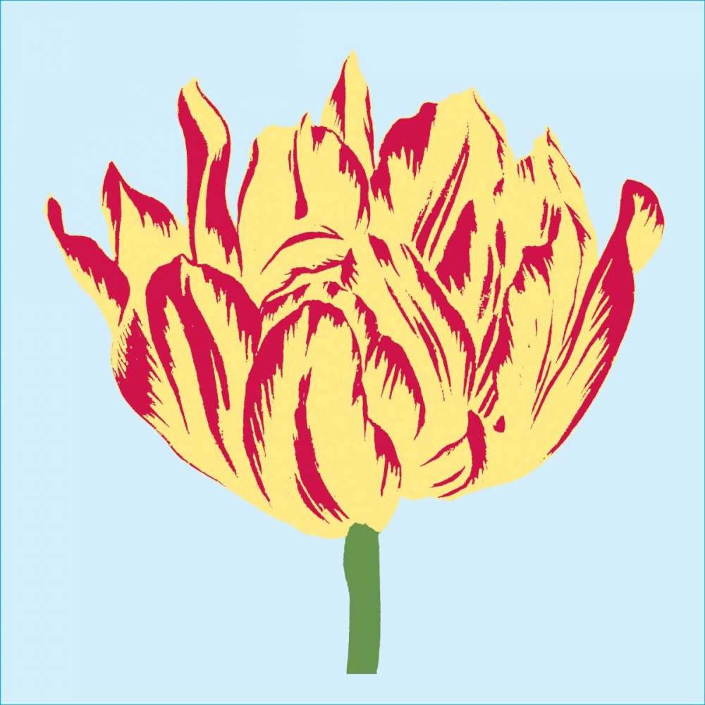Wall art: Soho Tulip II, by Alexander, Zachary