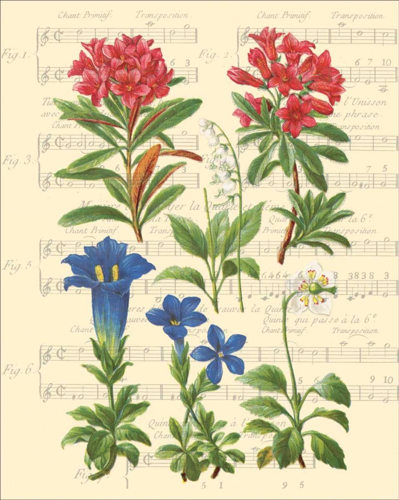 Wall Art Painting id:20742, Name: Allegro I, Artist: Paschal, Irene