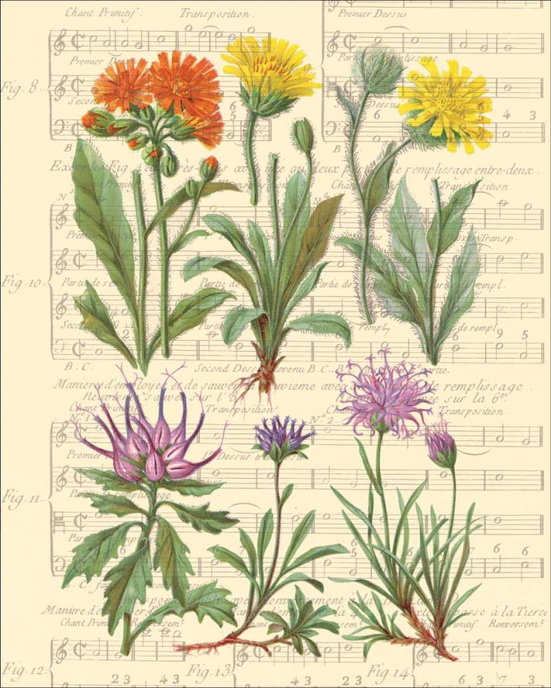 Wall Art Painting id:20743, Name: Allegro II, Artist: Paschal, Irene