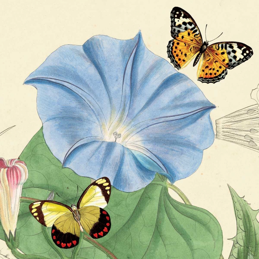 Wall Art Painting id:20779, Name: Country Cousins I, Artist: Alexander, Zachary