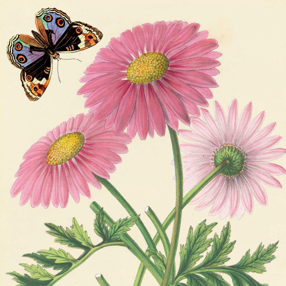 Wall Art Painting id:20780, Name: Country Cousins II, Artist: Alexander, Zachary