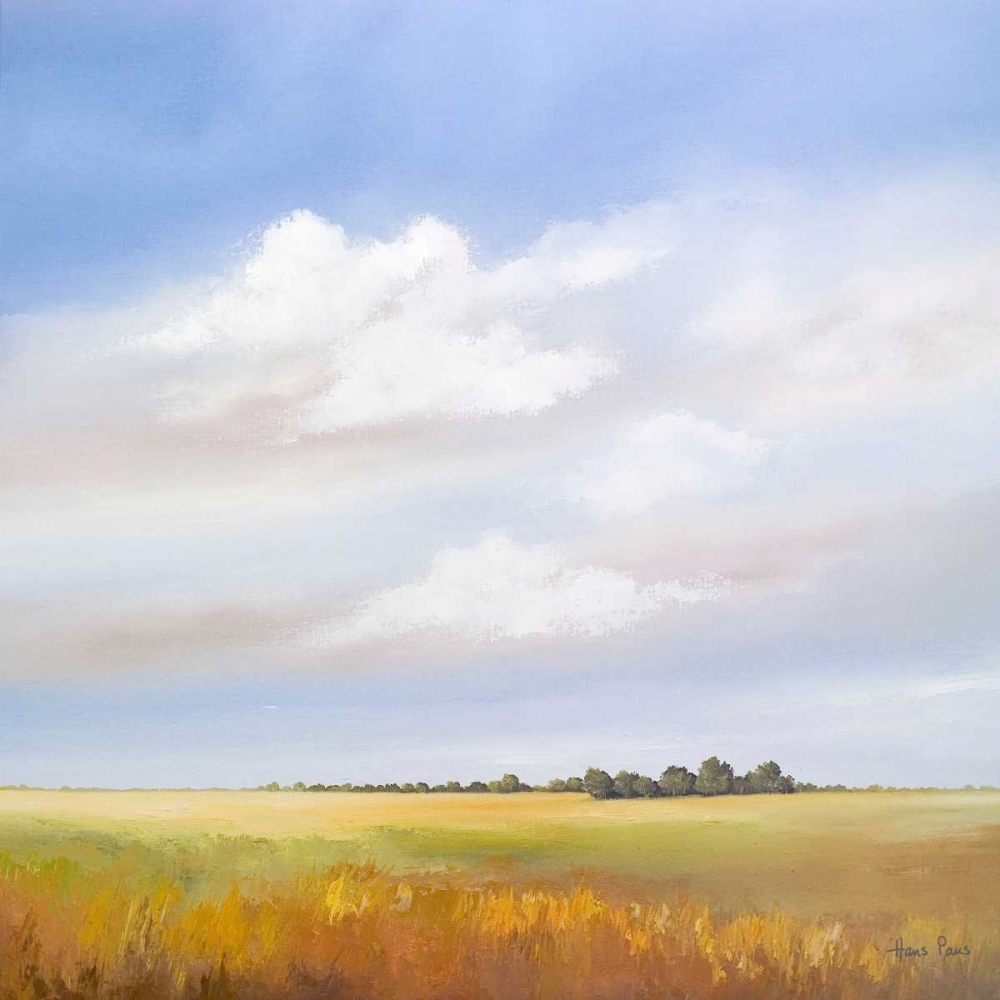 Wall Art Painting id:32002, Name: Lowlands IV, Artist: Paus, Hans