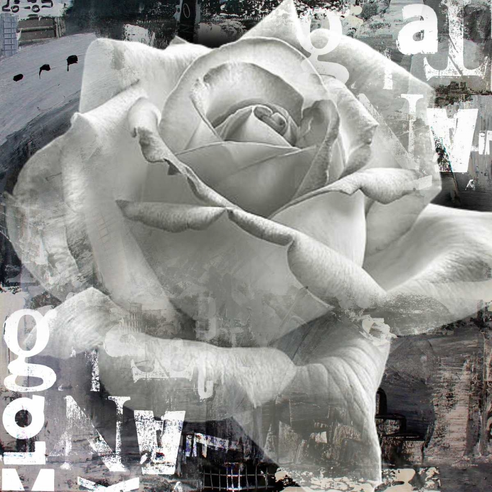 Wall Art Painting id:32314, Name: White Rose II, Artist: Baker, Micha