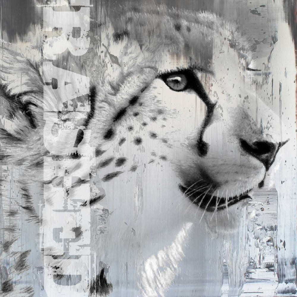 Wall Art Painting id:32315, Name: Rashed I, Artist: Baker, Micha