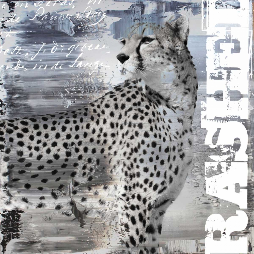 Wall Art Painting id:32316, Name: Rashed II, Artist: Baker, Micha