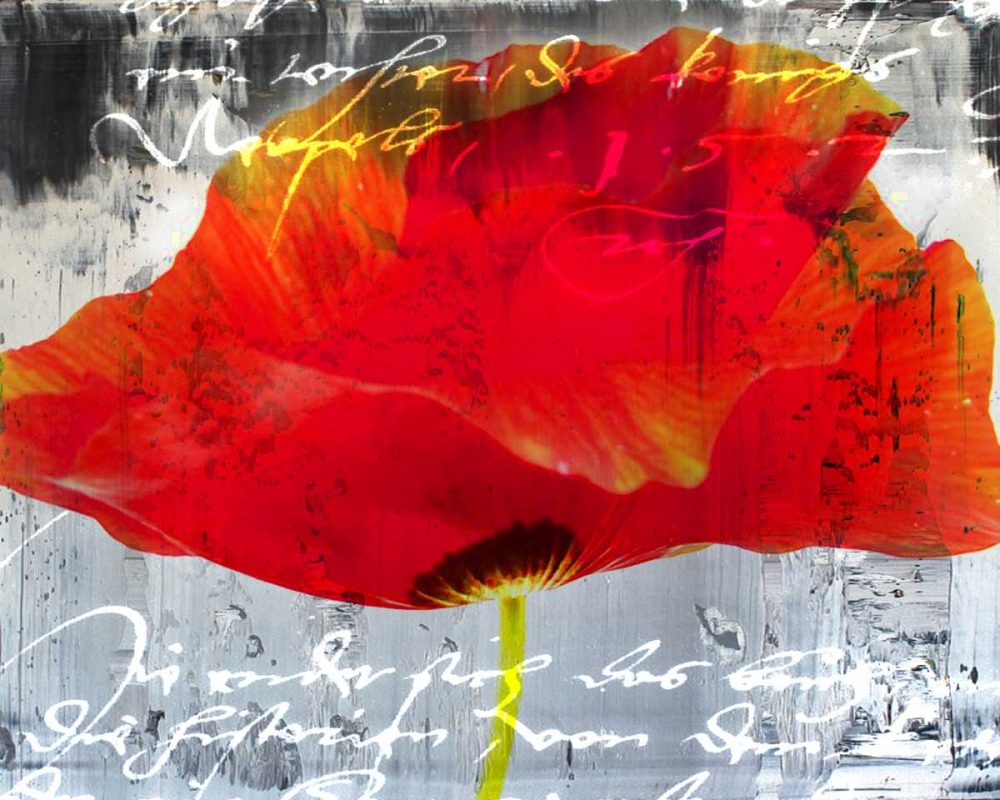 Wall Art Painting id:32319, Name: Poppy Story II, Artist: Baker, Micha