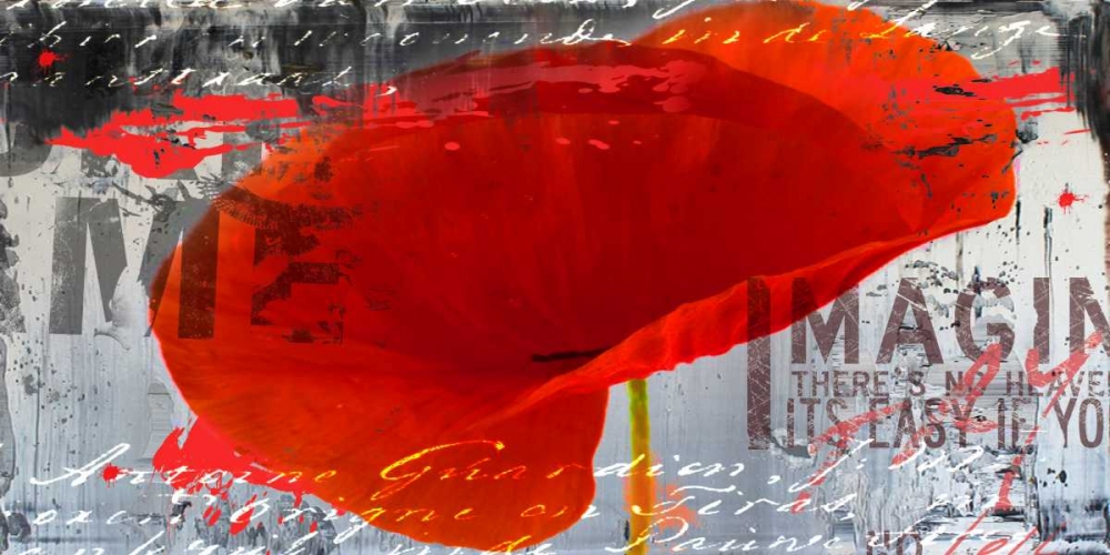 Wall Art Painting id:32320, Name: Poppy Story III, Artist: Baker, Micha