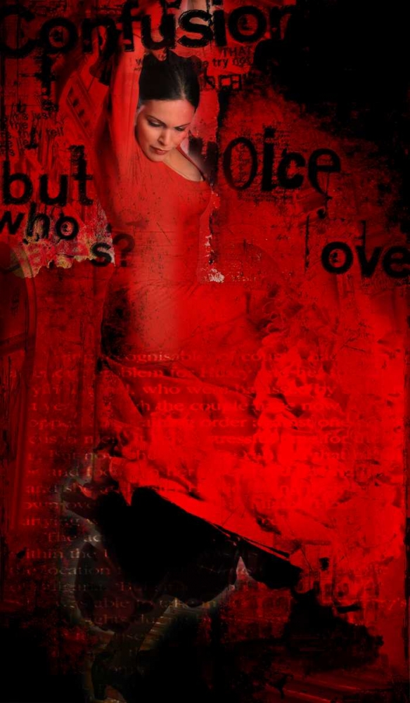 Wall Art Painting id:32323, Name: Flamenco, Artist: Baker, Micha