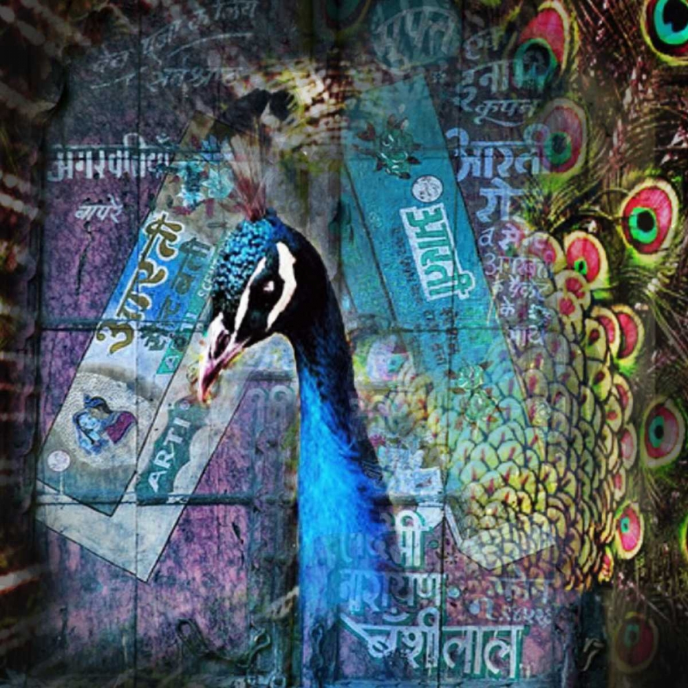 Wall Art Painting id:165935, Name: Peacock, Artist: de Haas, Mascha