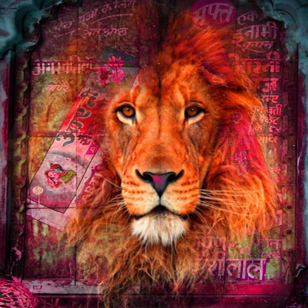 Art Print: Lion I 