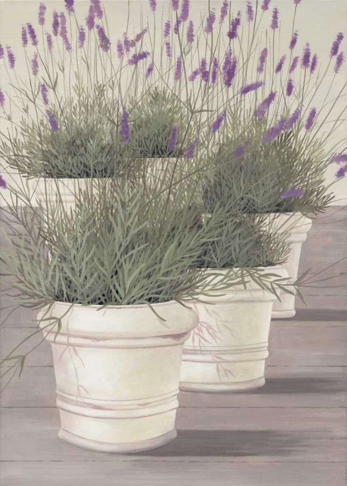 Wall Art Painting id:19264, Name: Lavender, Artist: Paus, Hans