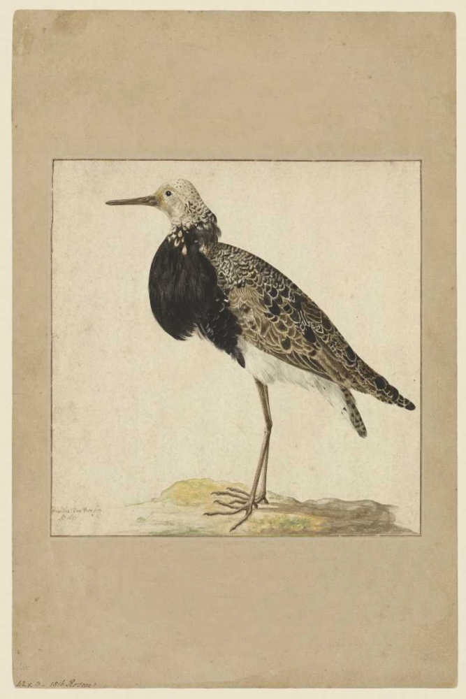 Similar wall art painting: 166059