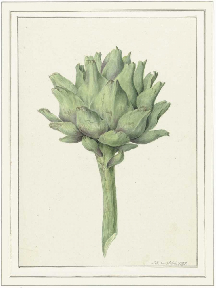 Wall Art Painting id:166065, Name: Classic veg, Artist: Waltz, Anne