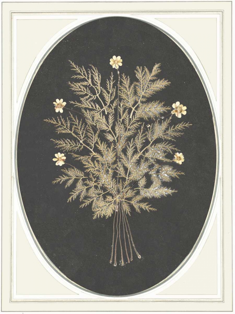 Similar wall art painting: 166137