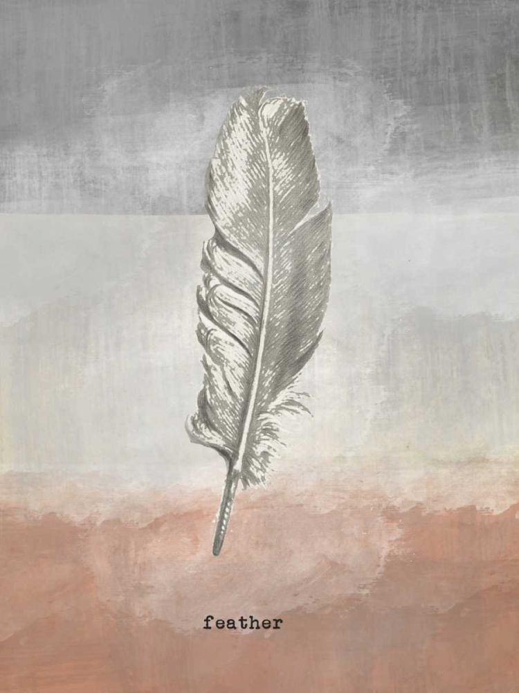 Wall Art Painting id:166213, Name: Feather III, Artist: Waltz, Anne