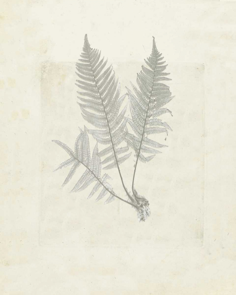 Wall art: Leaf soft, by Waltz, Anne