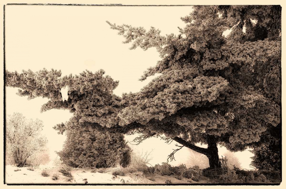 Similar wall art painting: 27783