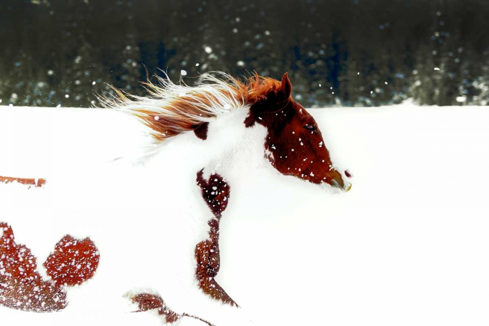 Similar wall art painting: 27803