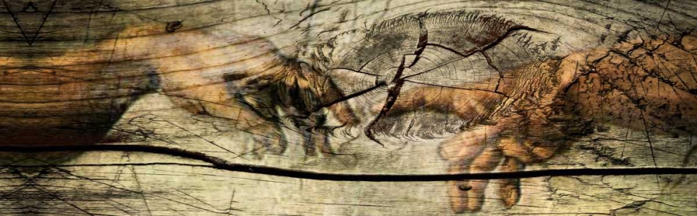 Wall Art Painting id:28793, Name: God and Adan, Artist: Sola, Bresso