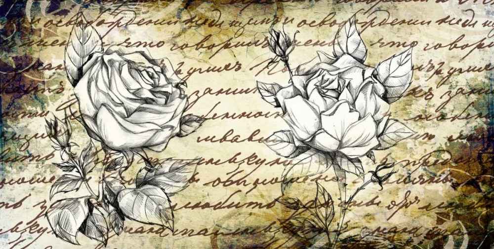 Wall Art Painting id:28972, Name: Retro Roses II, Artist: Willow, Susan P.