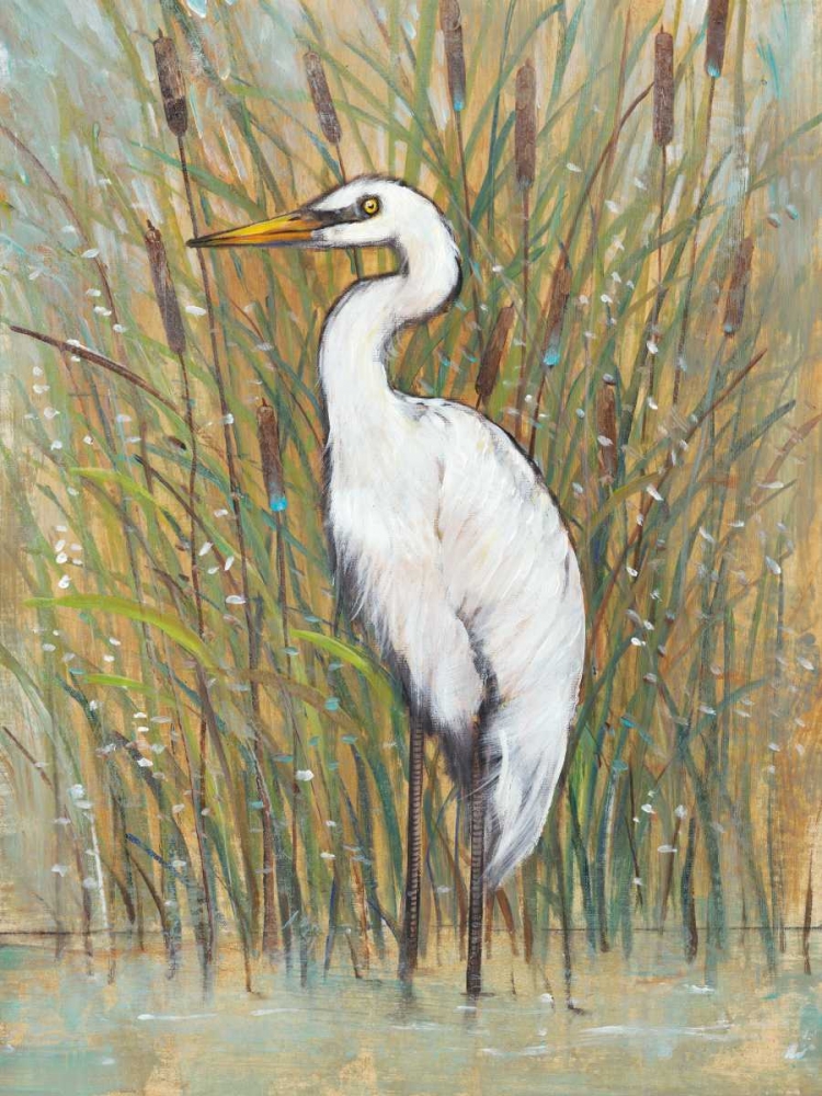 Art Print: White Egret I