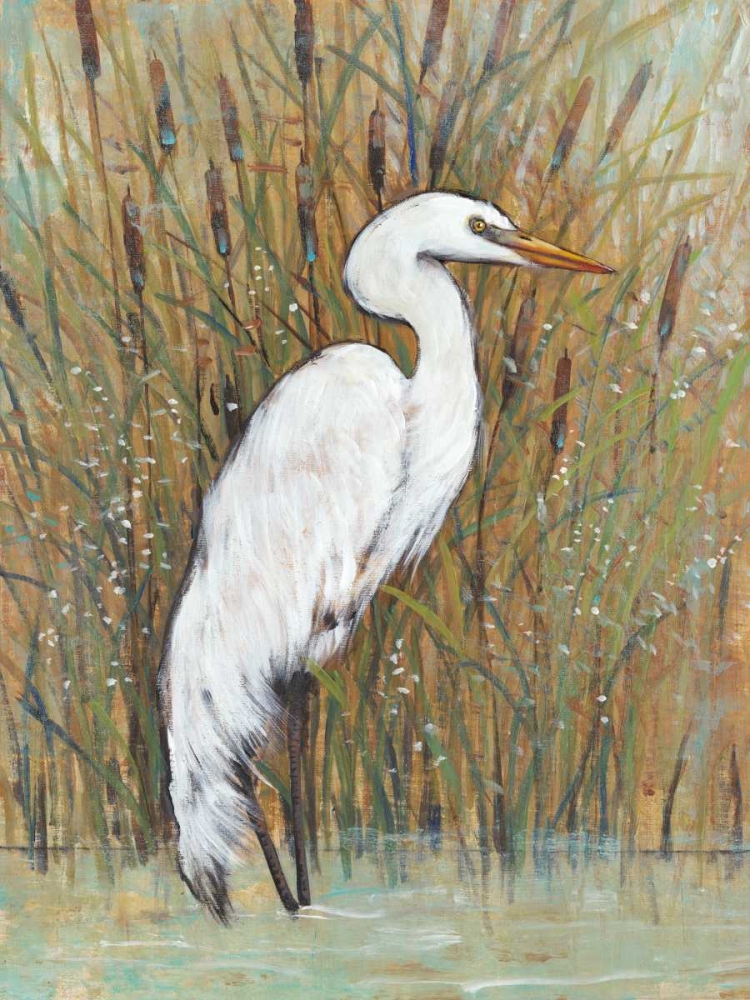 Art Print: White Egret II