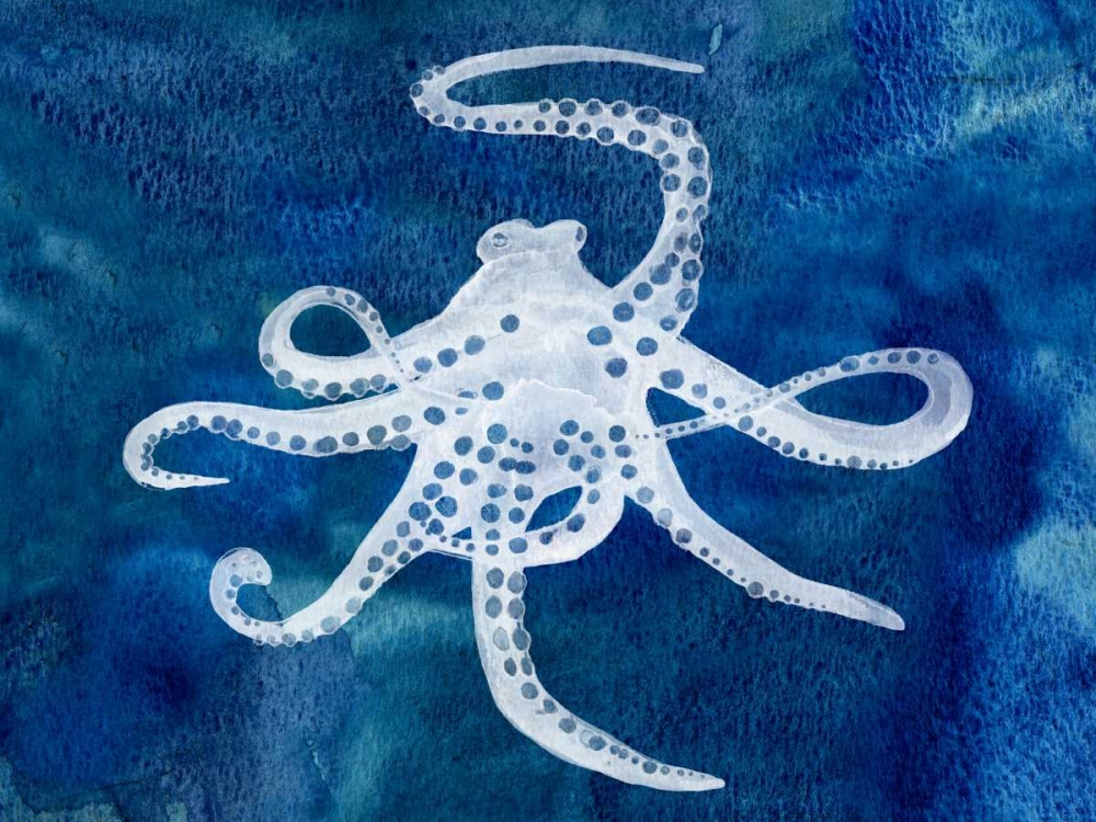 Wall Art Painting id:120611, Name: Cephalopod II, Artist: Ludwig, Alicia