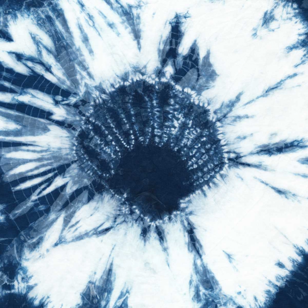 Wall Art Painting id:120379, Name: Shibori Shells I, Artist: Zarris, Chariklia