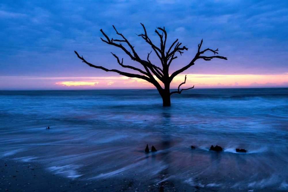 Art Print: All that Remains