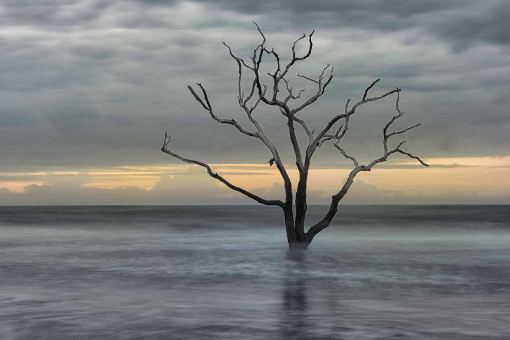 Art Print: Gray Skies