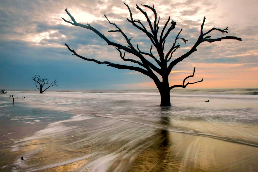 Art Print: Hangin On