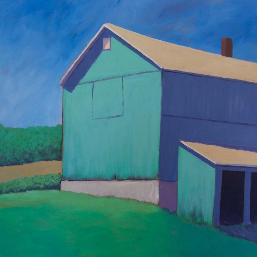 Wall Art Painting id:147320, Name: Rustic Teal, Artist: Young, Carol