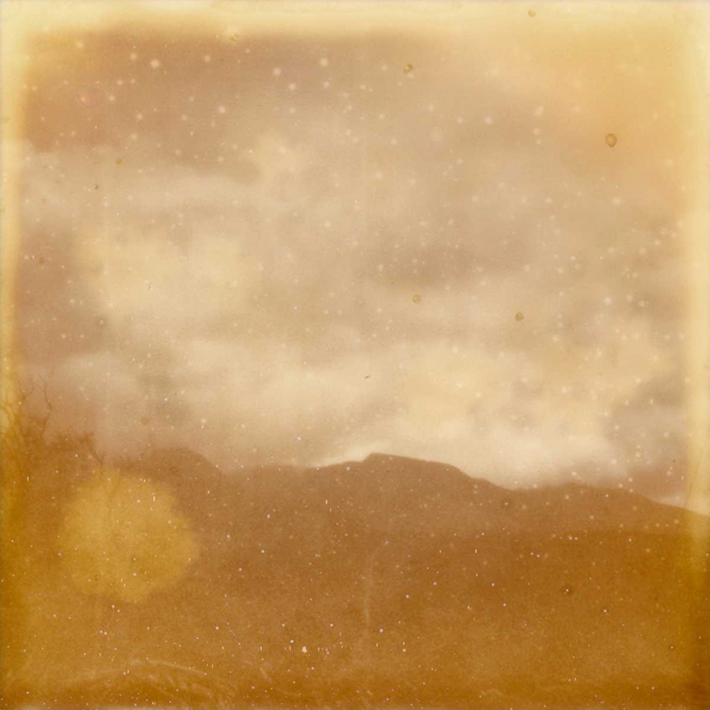 Wall Art Painting id:147525, Name: Halia Aloha V, Artist: Johnson, Jason