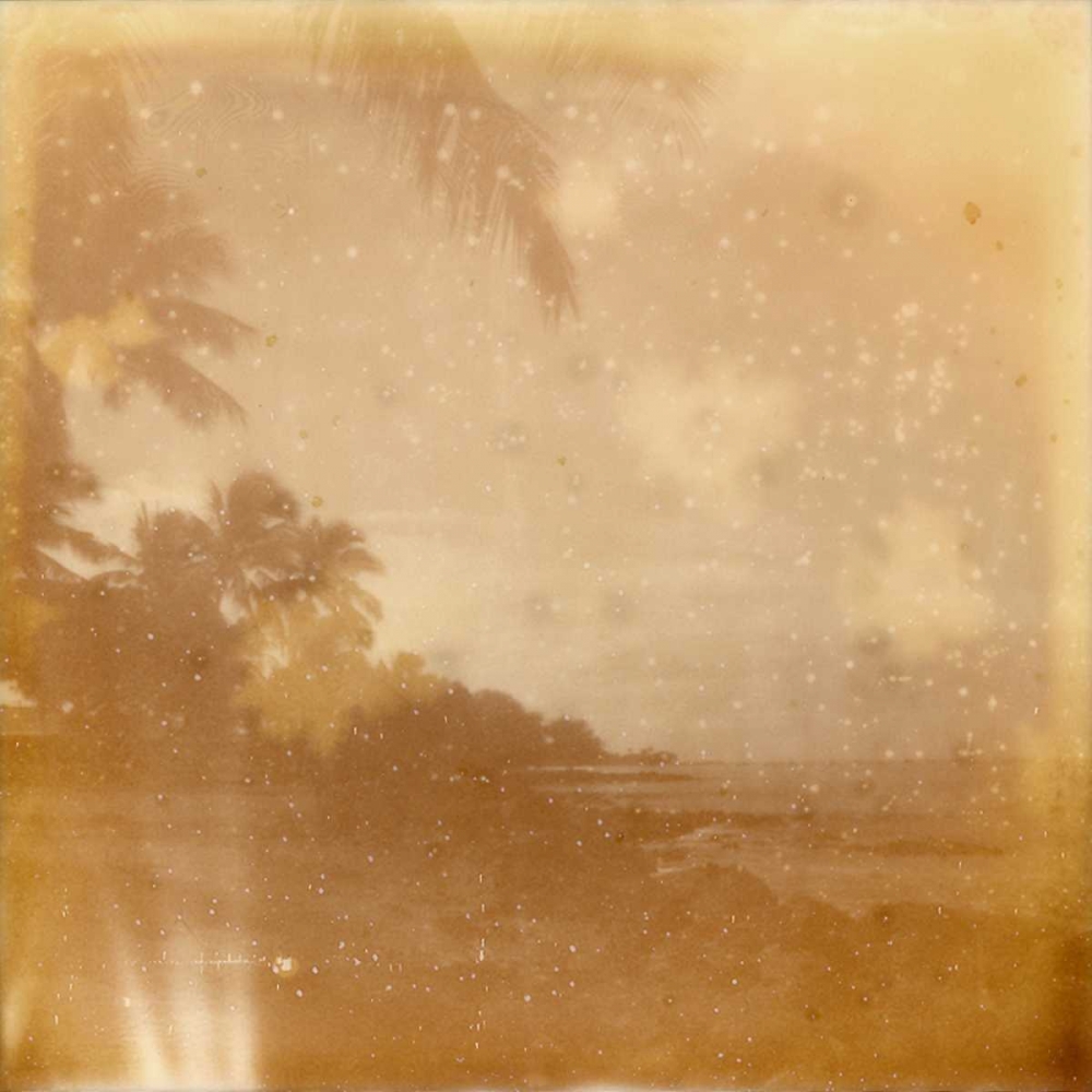 Wall Art Painting id:147526, Name: Halia Aloha VI, Artist: Johnson, Jason