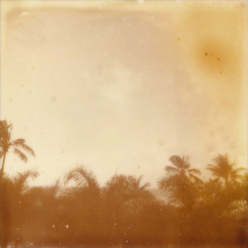 Wall Art Painting id:147527, Name: Halia Aloha VII, Artist: Johnson, Jason