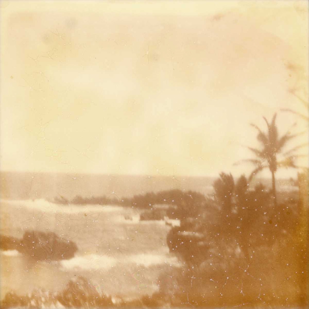 Wall Art Painting id:147528, Name: Halia Aloha VIII, Artist: Johnson, Jason