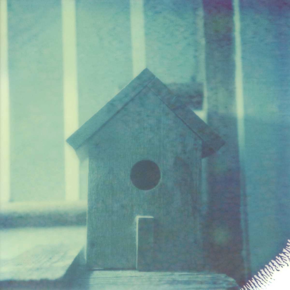 Wall Art Painting id:147531, Name: Color Shade I, Artist: Johnson, Jason