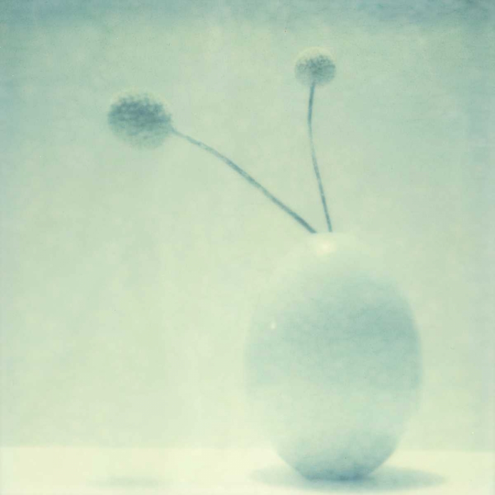 Wall Art Painting id:147532, Name: Color Shade II, Artist: Johnson, Jason