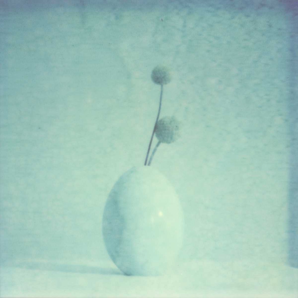 Wall Art Painting id:147533, Name: Color Shade III, Artist: Johnson, Jason