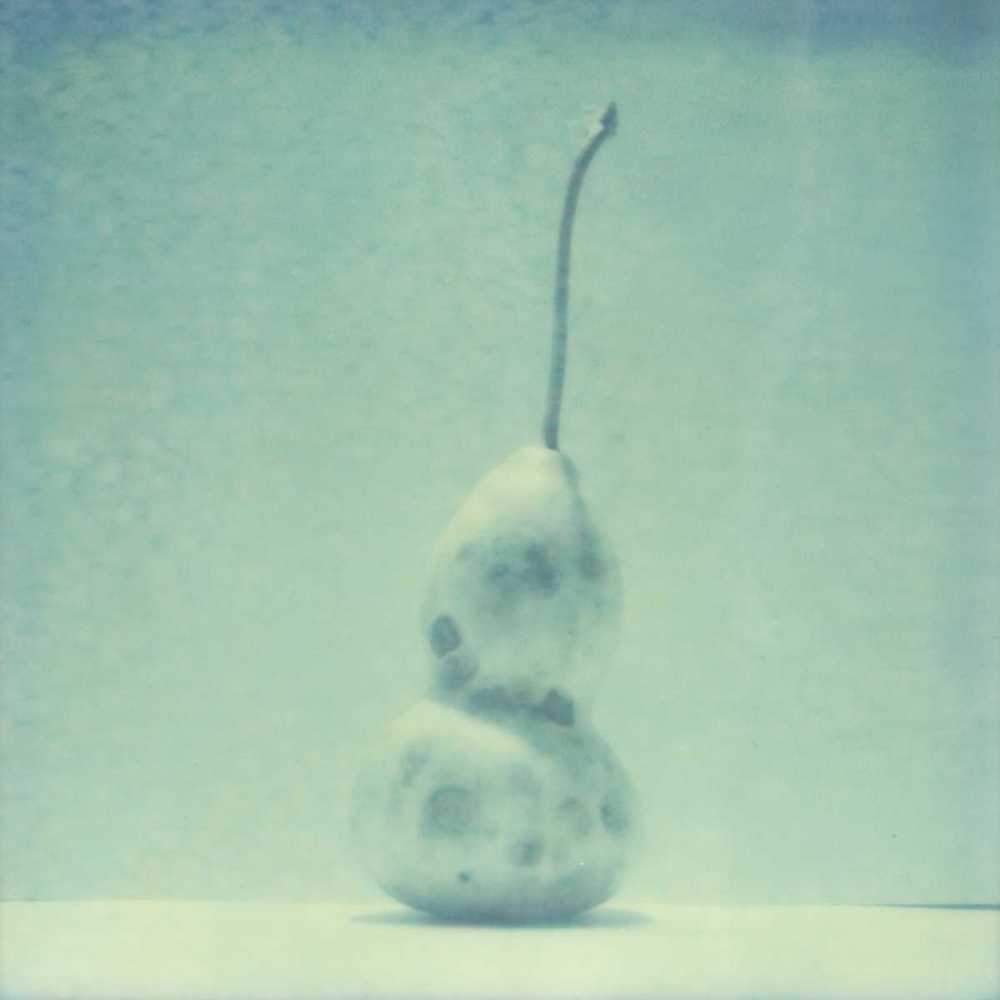 Wall Art Painting id:147534, Name: Color Shade IV, Artist: Johnson, Jason