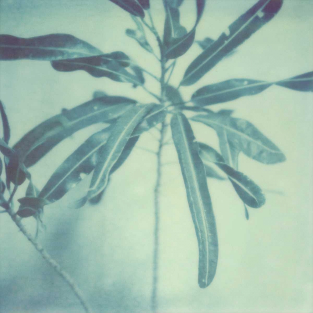 Wall Art Painting id:147538, Name: Color Shade VIII, Artist: Johnson, Jason