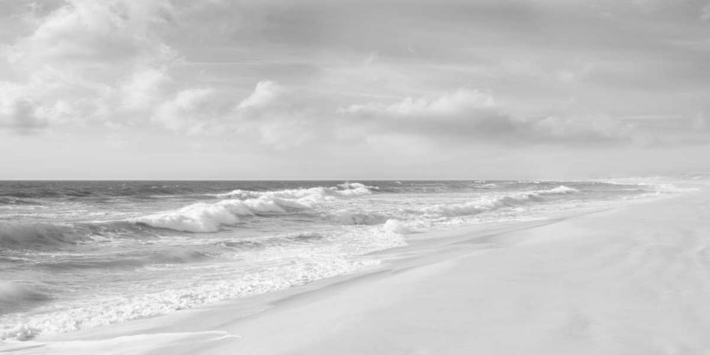 Art Print: Hamptons V