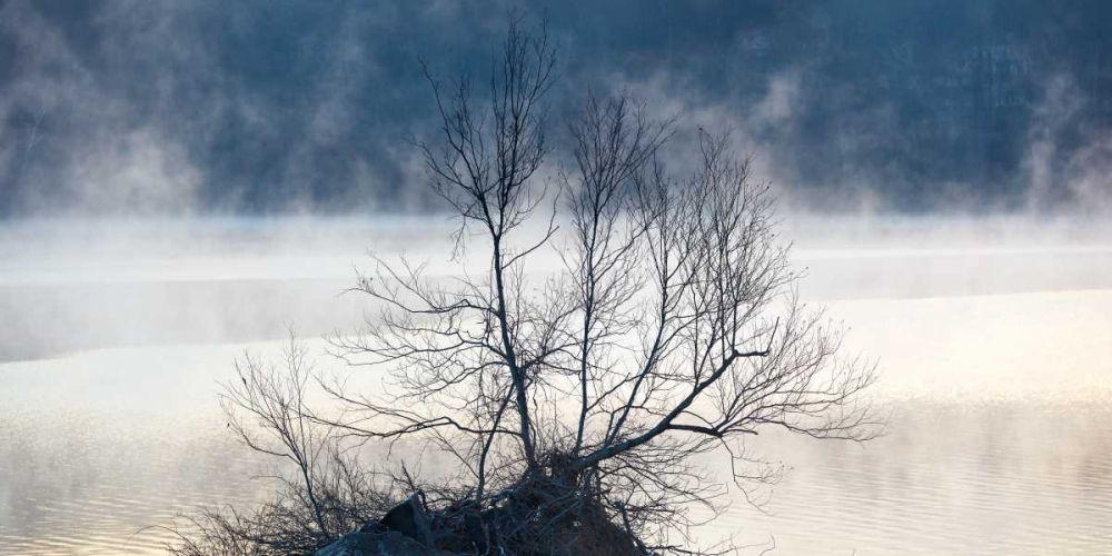 Art Print: Scene on the Water VII