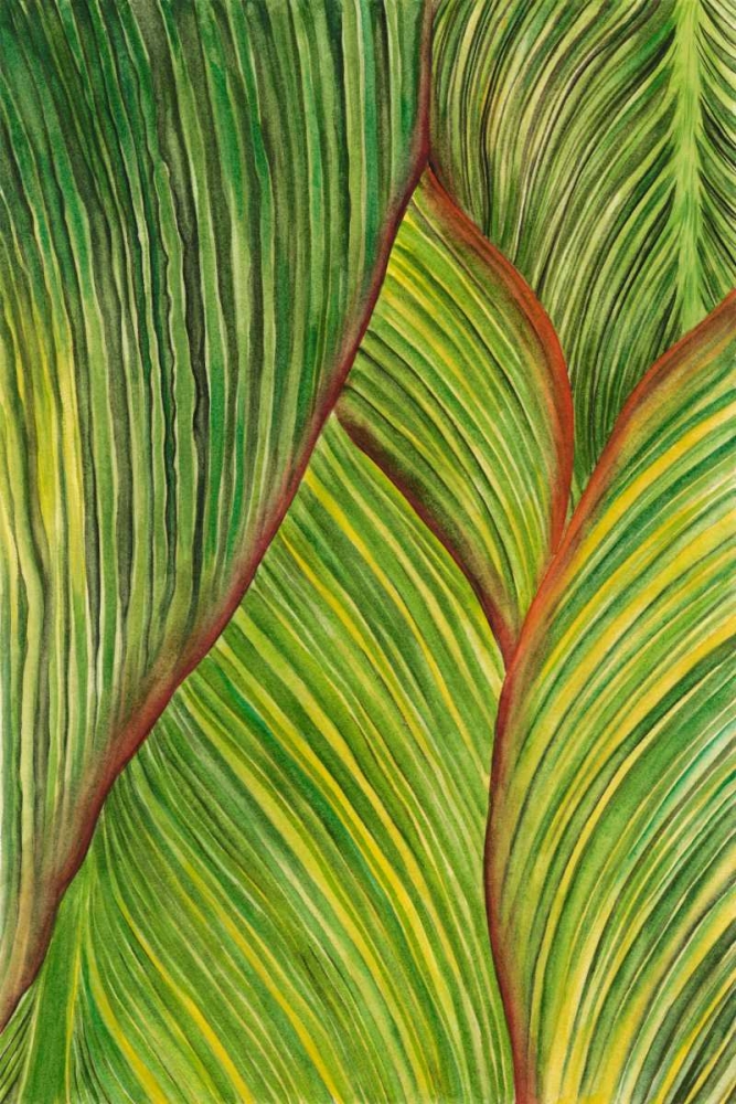 Wall Art Painting id:140355, Name: Tropical Crop II, Artist: Wang, Melissa